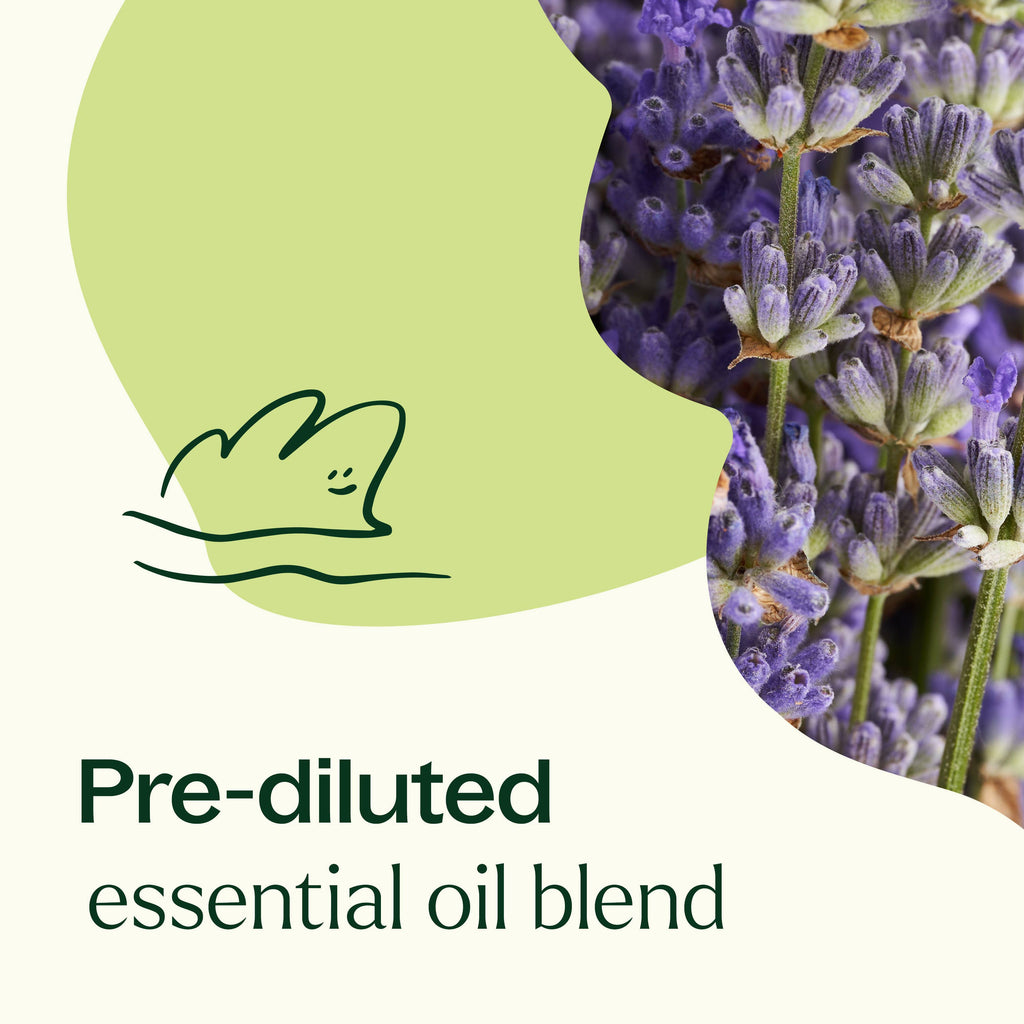 Blissful Dreams Essential Oil Pre-Diluted Roll-On 10mL