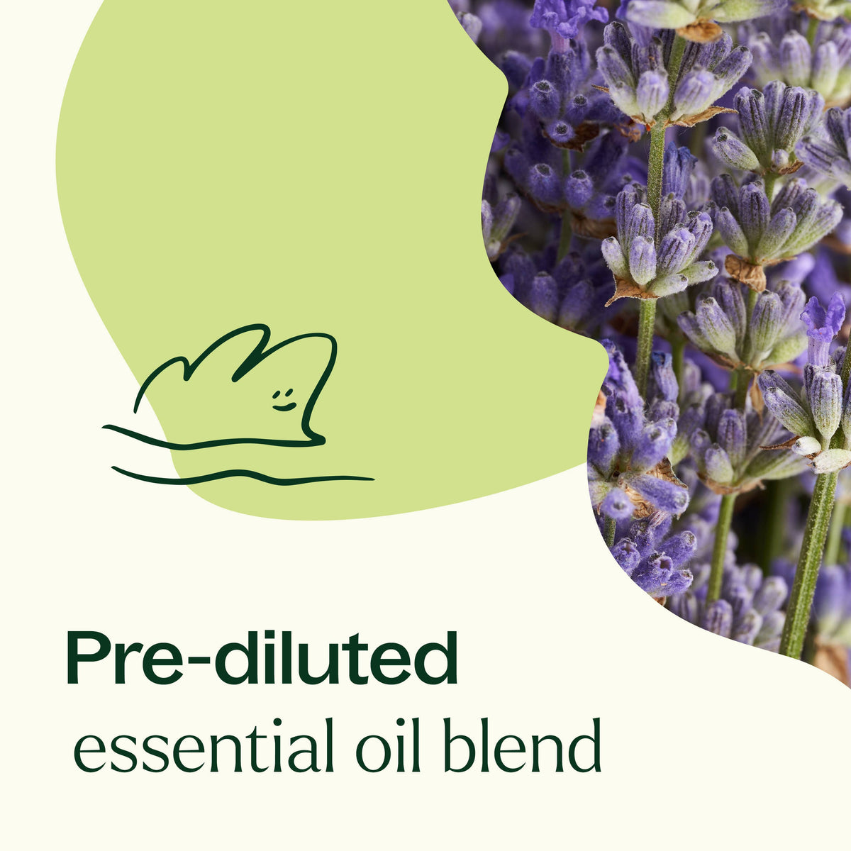 Blissful Dreams Essential Oil Pre-Diluted Roll-On 10mL