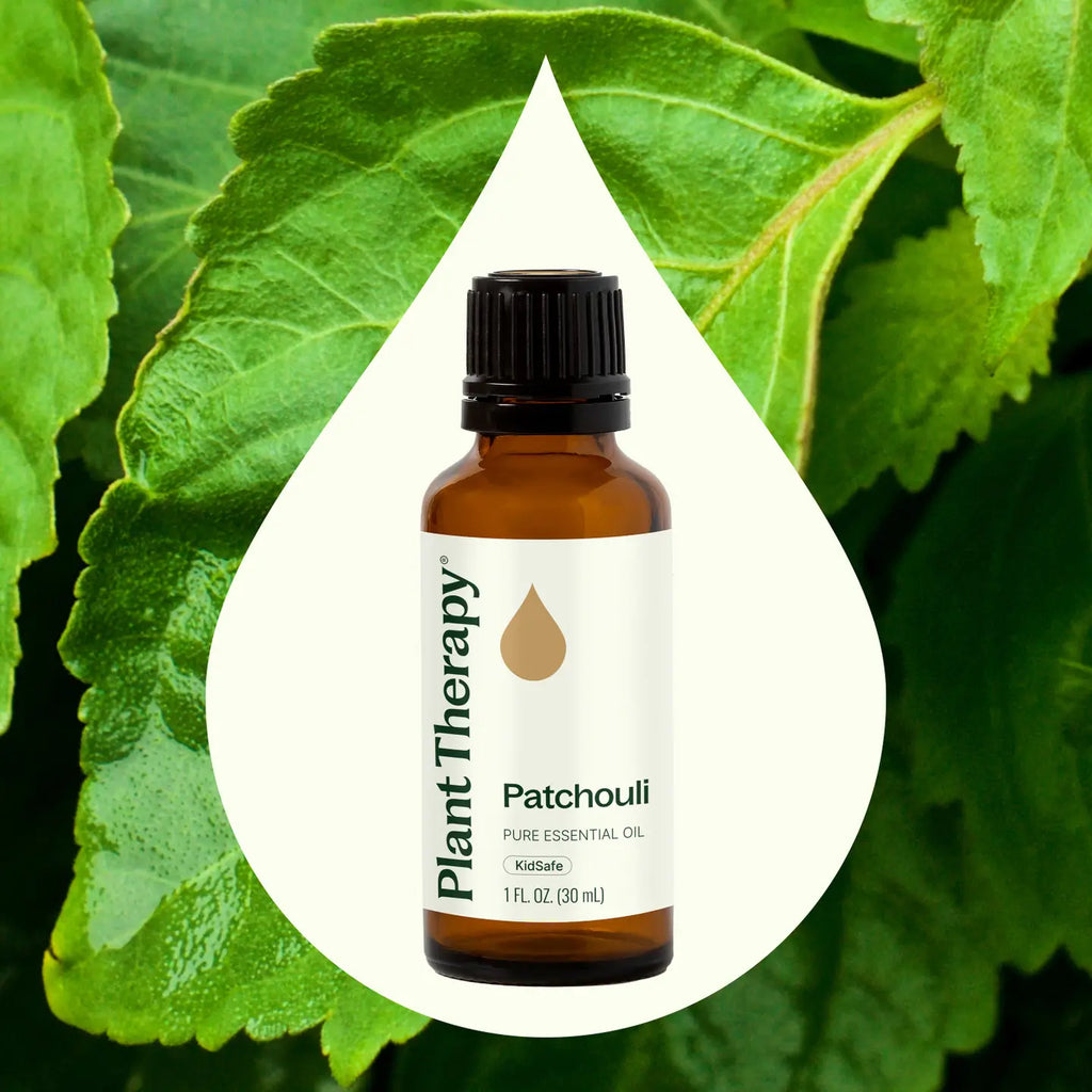 Plant Therapy Patchouli Essential Oil - 30ml